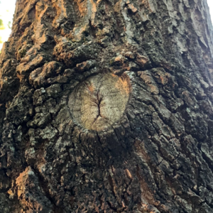 100. 需要坚持的事可能不值得坚持