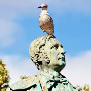 Ep12 别被自己的大脑给骗了