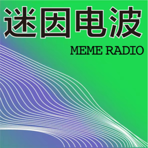 014. 为什么零元购里的美国黑人喜欢抢劫耐克？