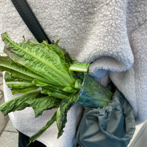 S2E1-强迫症？安全感？羞耻心？我就是必须得在特定的环境下才能完成音乐创作！