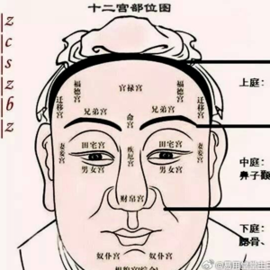 深入浅出#5: “以貌取人”怎么了？教你快速科学的“评头论足” 🔍