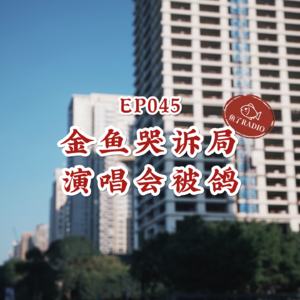 EP045 | 抓马更新：听金鱼哭半小时之追星被骗记