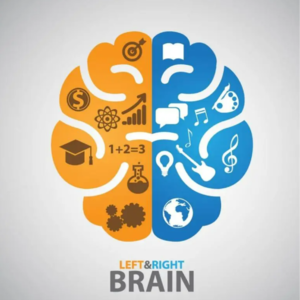 02-大脑为何那么喜欢节能？关于脑科学规律的那些事