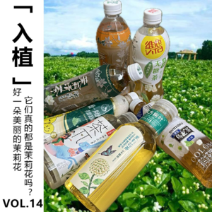Vol.14【入植】好一朵美丽的茉莉花～它们真的都是茉莉花吗？