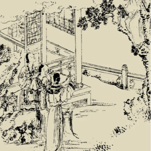 2022-11-27 一本大家都知道但看过的人似乎不多的神秘的书