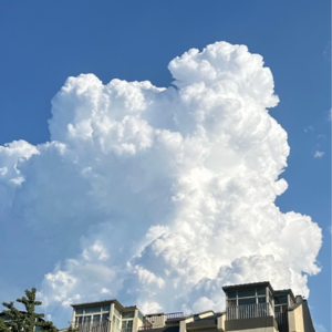 Vol.75 六月是拨开云雾脚踩在大地 万事万物皆有解法