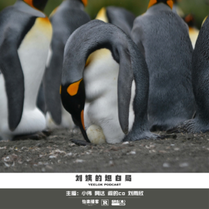 664.刘姨的坦白局