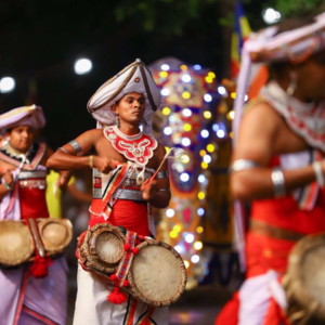 斯里兰卡华人旅行社来啦~