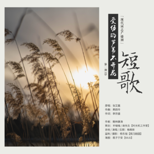 《受伤的芦苇不开花》第二期片尾曲《短歌》