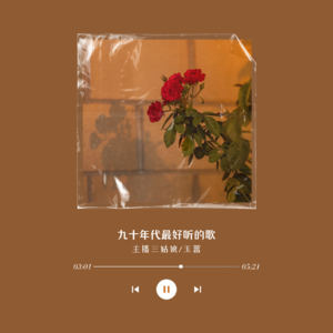 九十年代最好听的100首歌-6