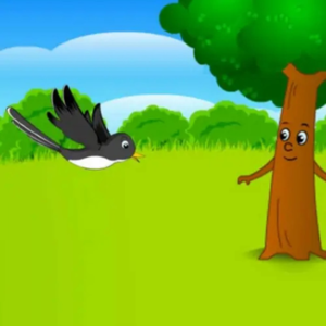 会说话的小喜鹊