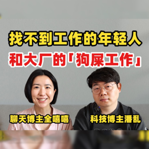 115.2023年了,还该去互联网大厂吗?