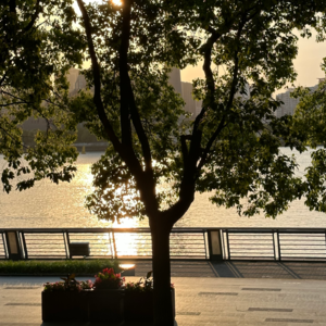 To vol.04 | 既然人生经验无法通过口述习得,我们为什么还要听?