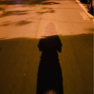 006 这一切没有想象的那么糟