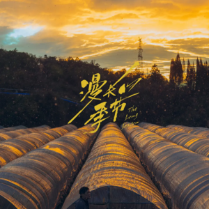 西南人走西北，看东北文艺复兴作品