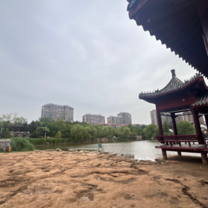 太阳带来好心情｜25.5.12