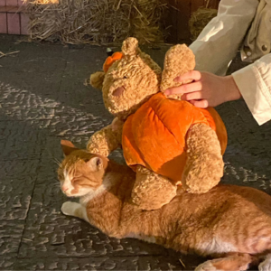 No.85 《19岁实习生T掰弯直女上司》