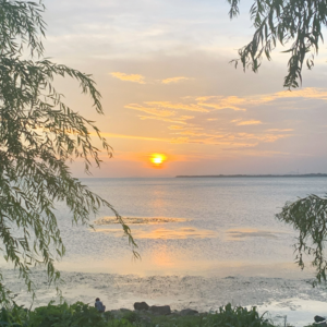 谈天| 春天不是读书天