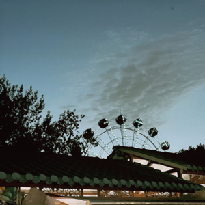 vol.32 | 池塘边的榕树上知了在声声叫着夏天:聊聊我们的那些夏日记忆