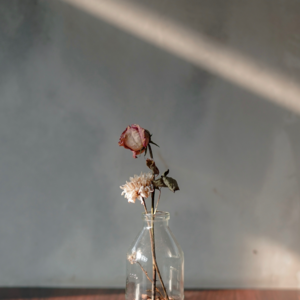 15. 女性意识: 矛盾感,是觉醒中的生命力