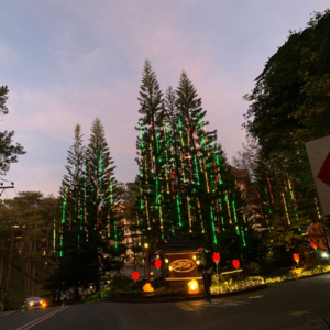 #050 回到菲律宾，他在午夜停车场躲着保安竟然做那个！