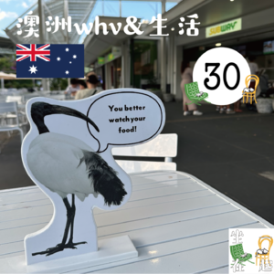 30. 特别节目｜澳洲打工度假快乐吗？