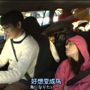 vol12 从《重启人生》聊开去2.0：下辈子当一棵树也不错