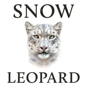 雪豹：传奇作家如何创造独一无二的类别