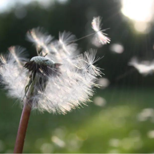 063/多线程,到底是主动还是被迫?