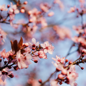 【20分钟自爱冥想】激发自我之爱 肯定自我价值 补给自我力量