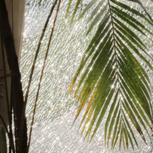 86 旅途中你会看窗外的风景吗