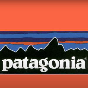 53：备受华尔街大佬追捧的Patagonia为何宣布“地球是我们唯一的股东”？