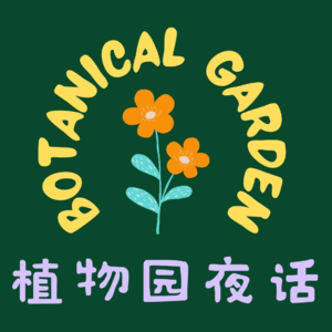 这样的焦虑和迷茫,不止我一个人有吧!