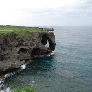 10：杂谈—关于618购物和年轻时候的“社团梦”