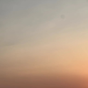 EP15 2022春天，人在上海对抗失落