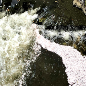 与monn老师聊摄影与生活，内容没有任何干货