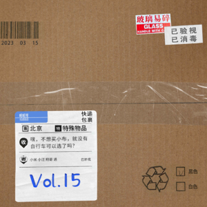 嘿，不想买小布，就没有自行车可以选了吗？