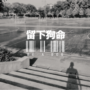 02 那个午后的燥热:流川枫与苍井空