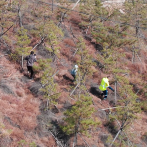 Vol.51 跟随50+老外同事冲山，重温童年的冒险梦 | 儿童节特辑