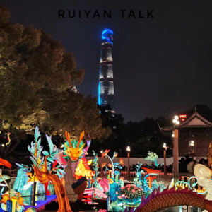 11. 免责闲侃 ｜ 买房经验的几点重要补丁 P3