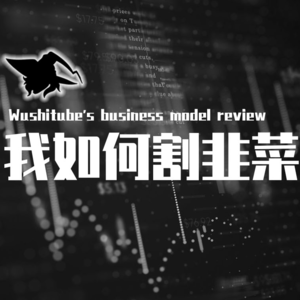 【巫师】一年只更新5个视频的我怎么盈利，IP孵化，代运营，巫师Tube商业模式【我是怎么赚钱的01】