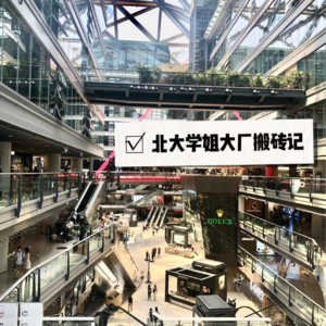 北大学姐大厂“搬砖记”：从大厂到大厂，两种卷法