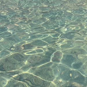 S2E8 pt 3我不要重启人生/我只想遇见你们