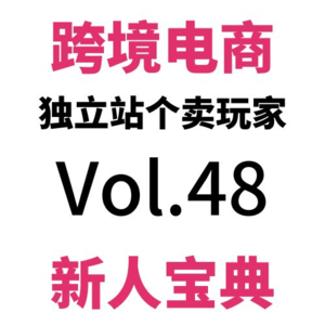 Vol.48用人话讲SEO最终篇总结！跨境电商独立站新人SEO看这一篇就够了！吗？SEO新人宝典（8）