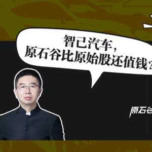 202228期：智己汽车，原石谷比原始股还值钱？