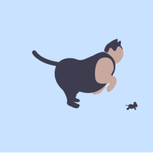 No.3 零基础小白理财入门课