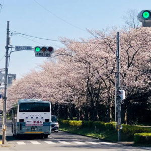 三本生如何逆袭日本名校（1）