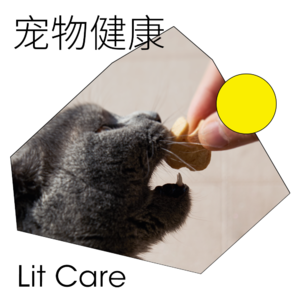 Lit Care｜猫咪可以不刷牙吗？宠物口腔问题的成因与常见误区