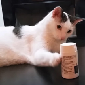 伊朗对以色列的反击秀