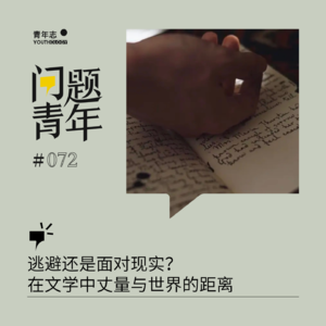 72.逃避还是面对现实?在文学中丈量与世界的距离